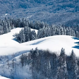 Ai明星换脸杨颖浴室视频
